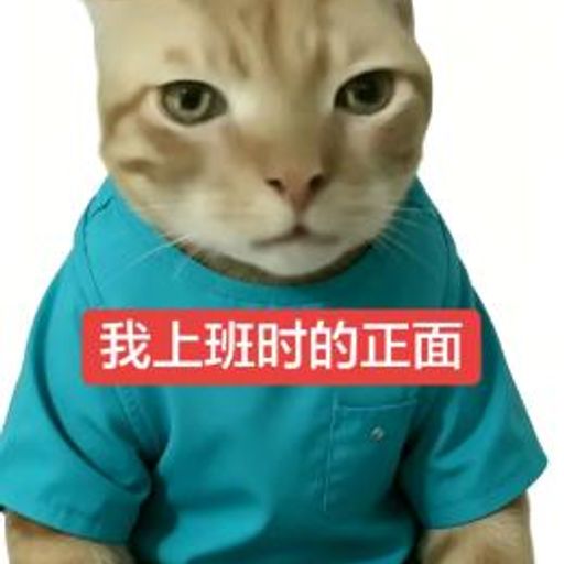 上班小猫