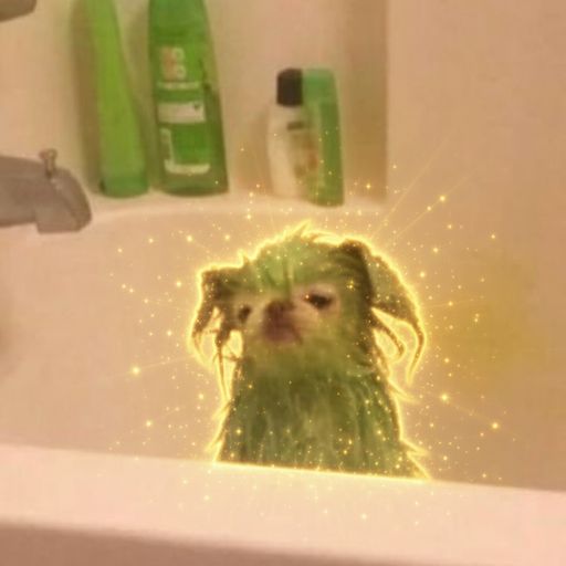 aliendog