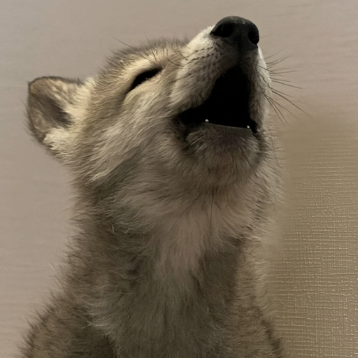 alpha