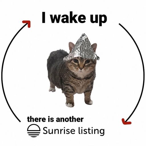 Tinfoilcat
