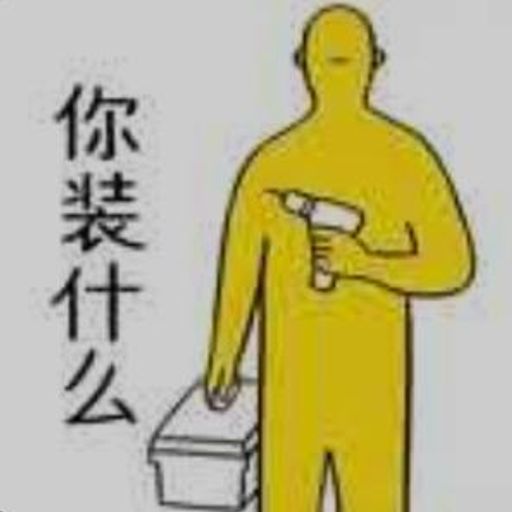 你装什么