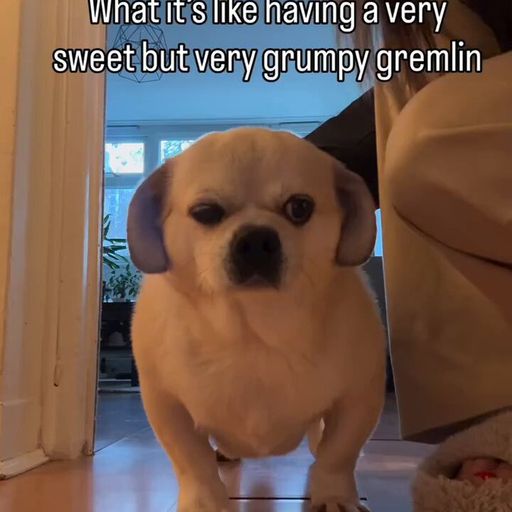 GREMLIN