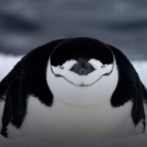 PWENGUIN