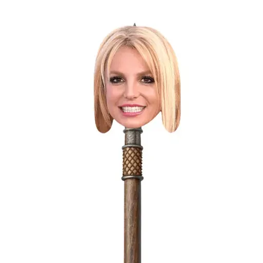 SPEARS