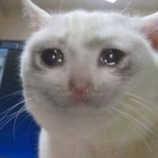CRYING CAT