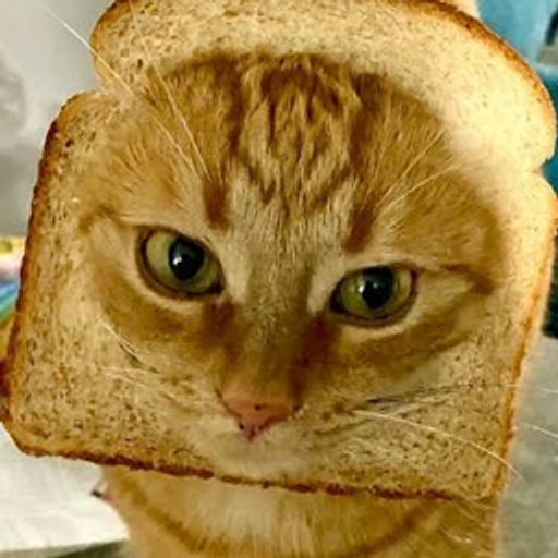 Toast