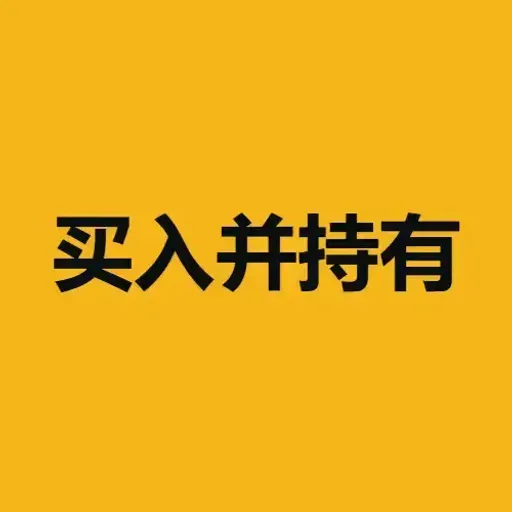 买入并且持有