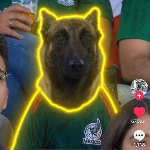 MEXICODOG