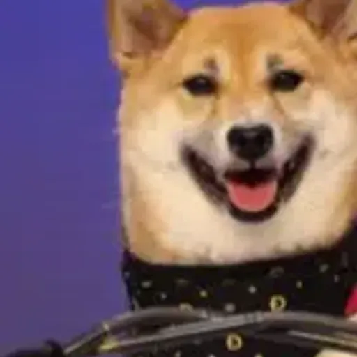 KIMCHI