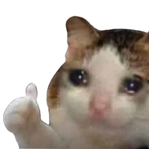 KITTY