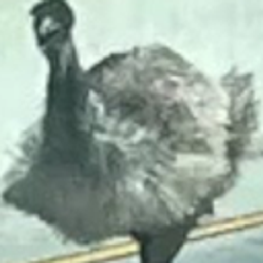 EMU