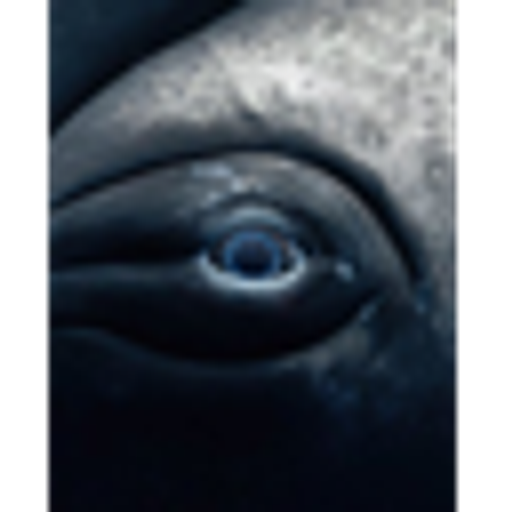 WHALEEYE
