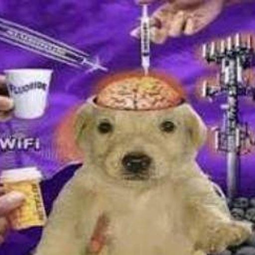 10GDOG