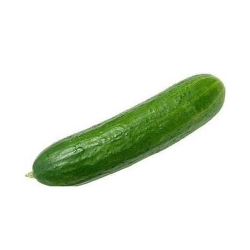 Cucumber