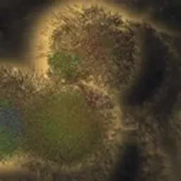 MOld