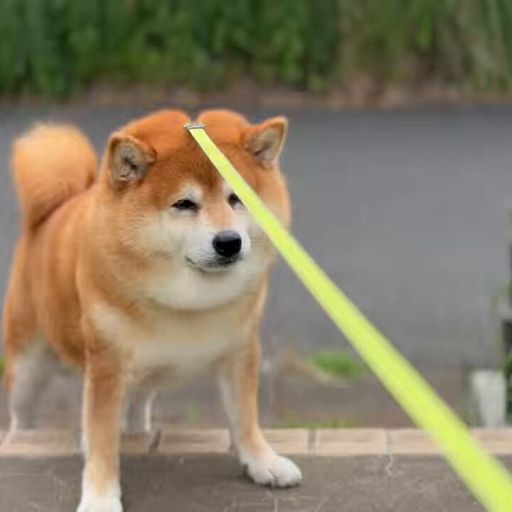 Kumakichi