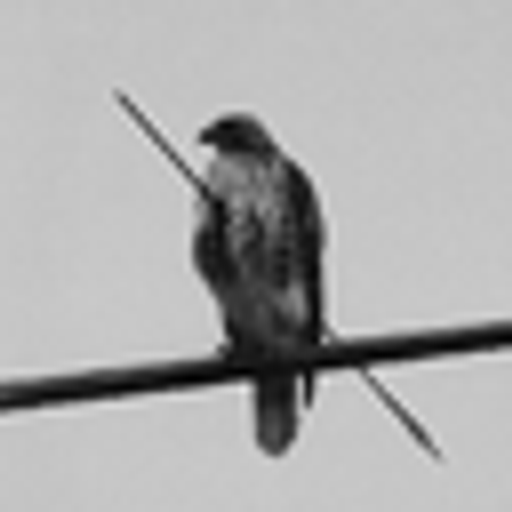 HAWK