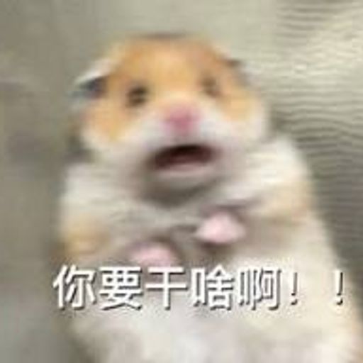 ZZ