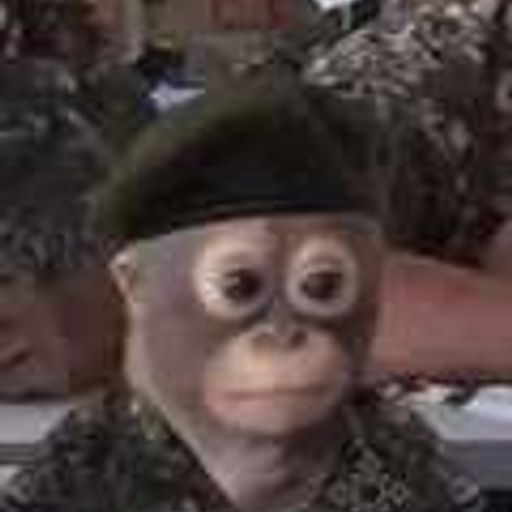 MONKEY