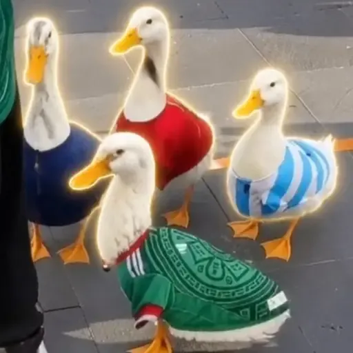 Waddle FC