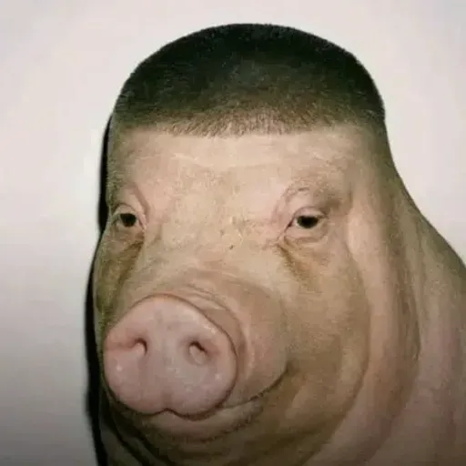 FADE PIG