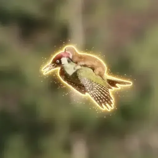 Woodweasel