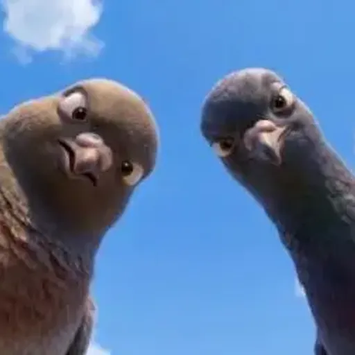 PigeonAI