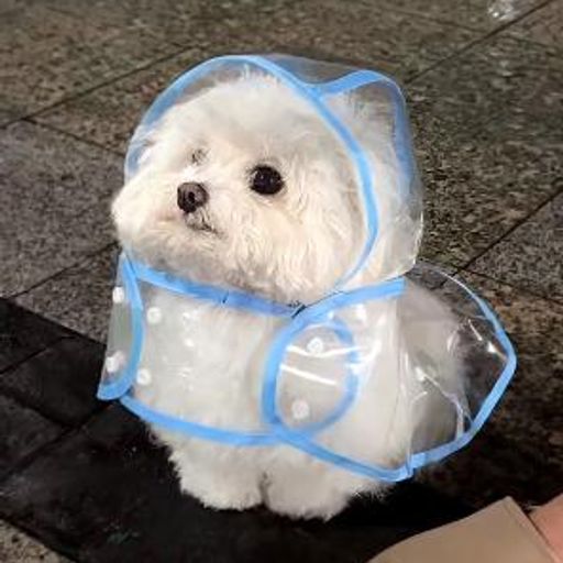 馒头