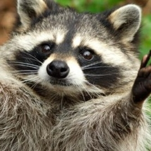 MoonCoon