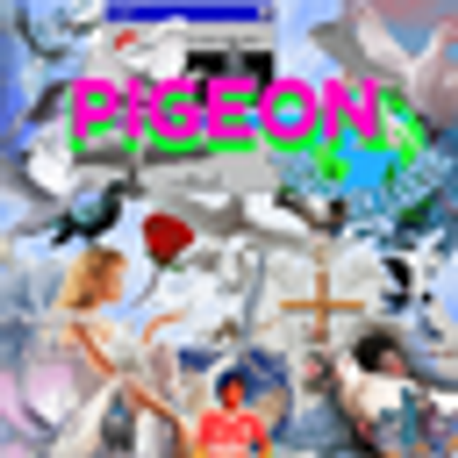 PIGEON