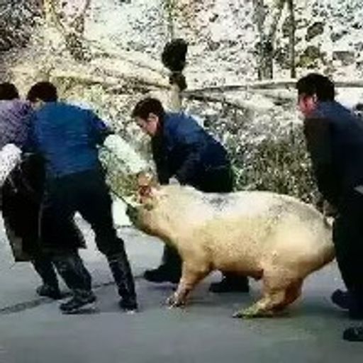 新时代的神