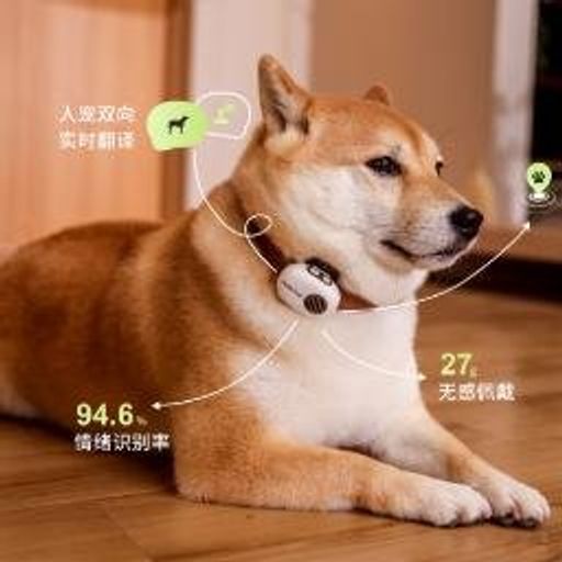 萌小譯