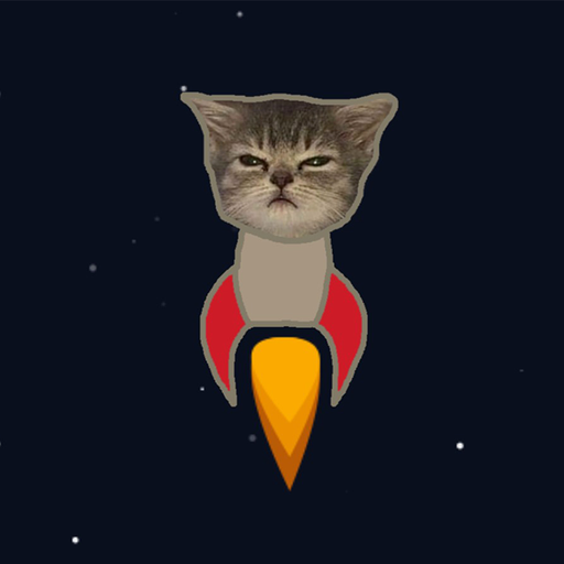 CATOCKET
