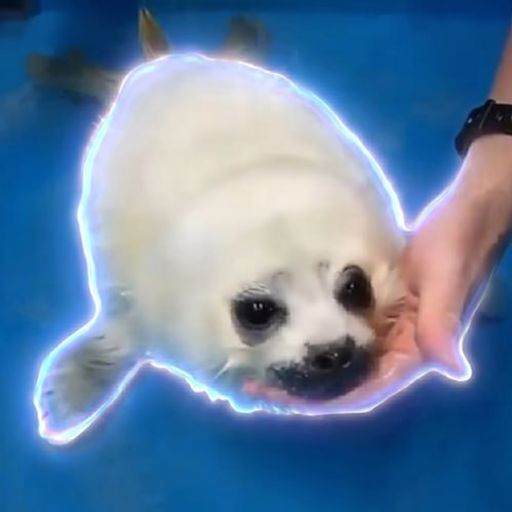 BabySeal