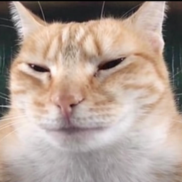 MILO
