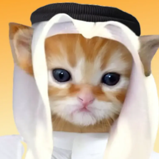 HABIBI