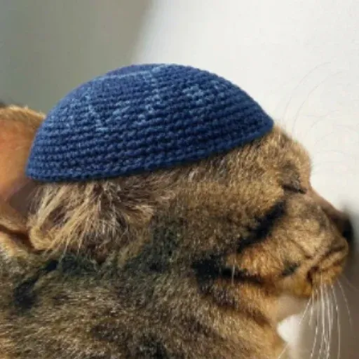 サン