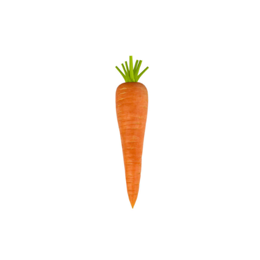 carrot