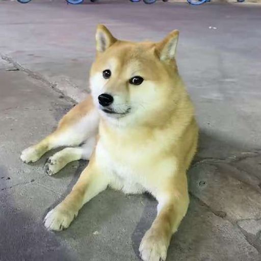 汉堡