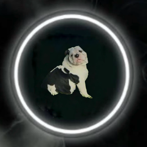 dooliedog