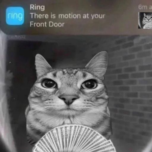 Motioncat