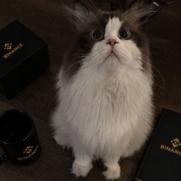 哥们儿
