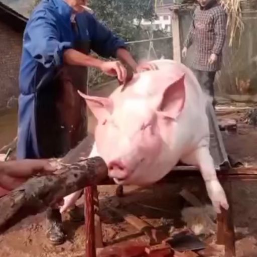 杀猪饭