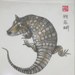 狗东蜥