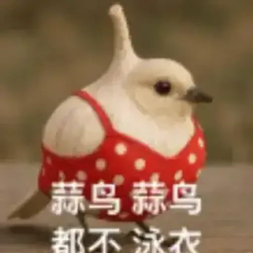 蒜鸟蒜鸟 都不容易