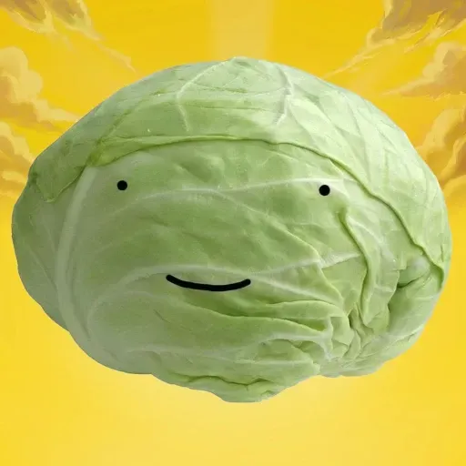 cabbage