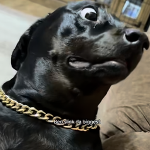 D🐶G