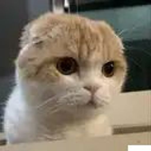 mfw