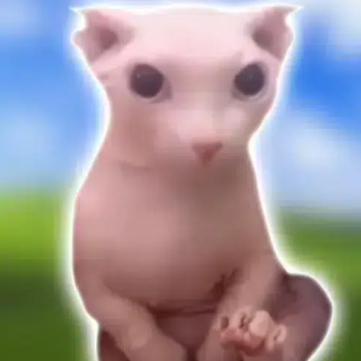 Bingus