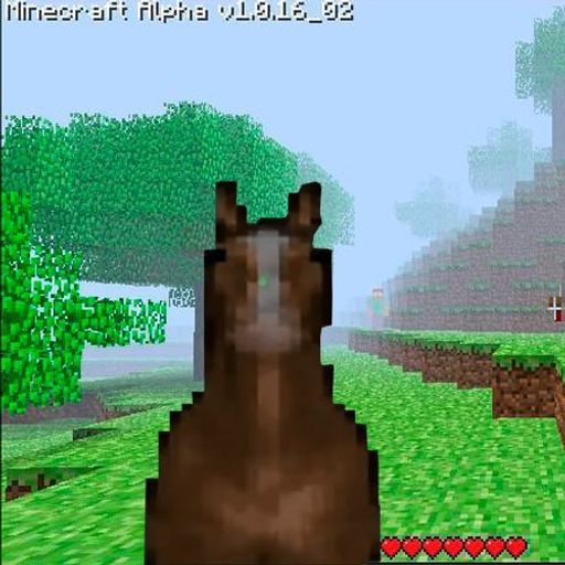 horse